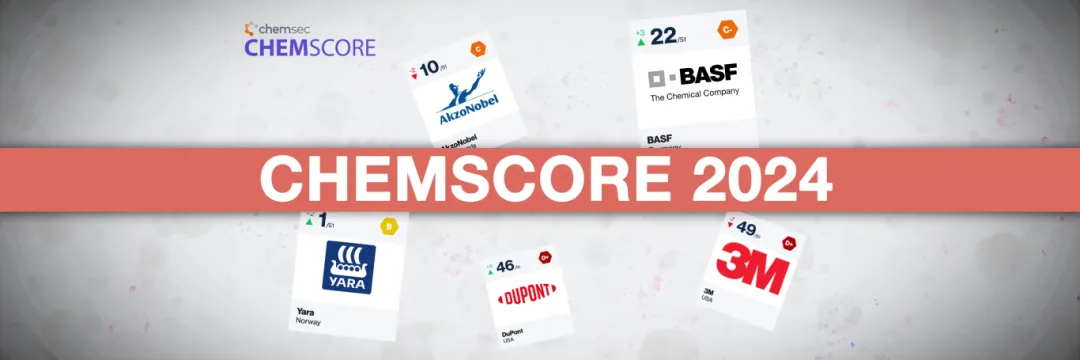 ChemScore 2024